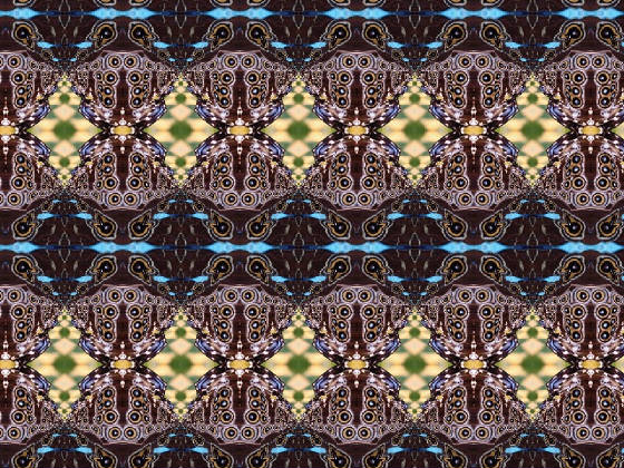 blue_butterfly20040719160108.jpg